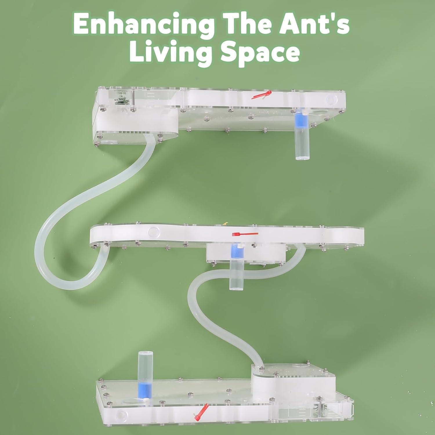 Granja de Hormigas Blevla Rectángulo Kit Educativo 27x14cm