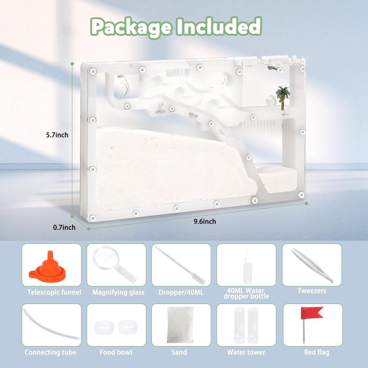 Granja de Hormigas Blevla Rectángulo Kit Educativo 27x14cm