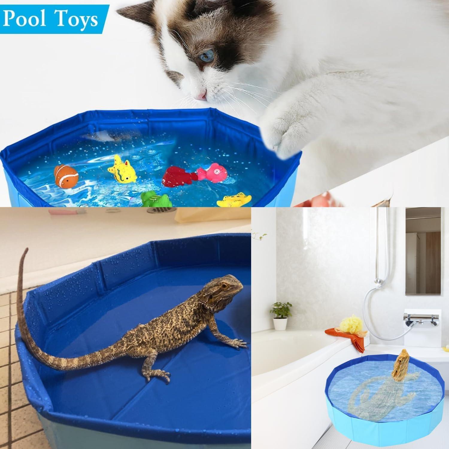 Bañera Plegable TTMIMIK para Dragones Barbudos 30x10cm