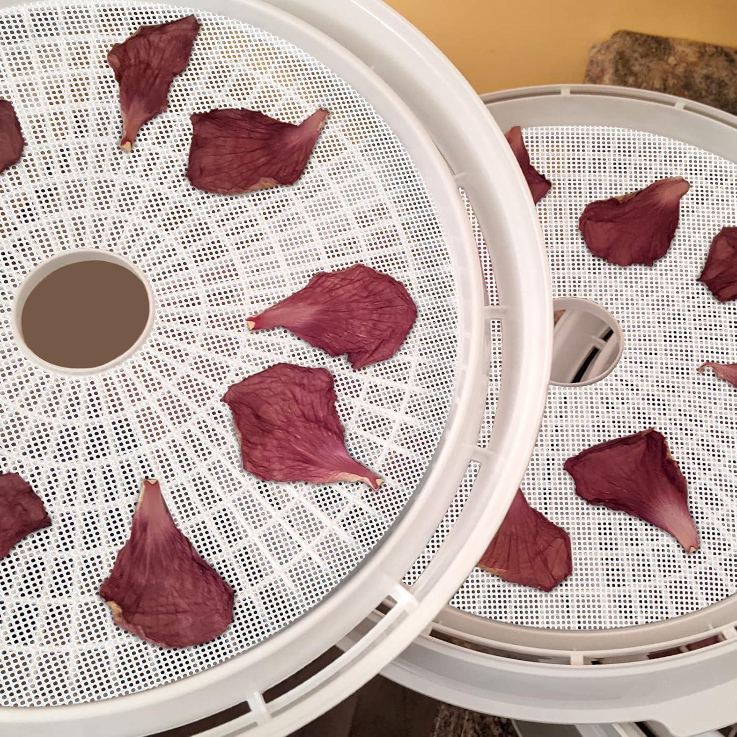 Paquete de 8 Hojas de Silicona DOSTK 33 cm Antiadherentes