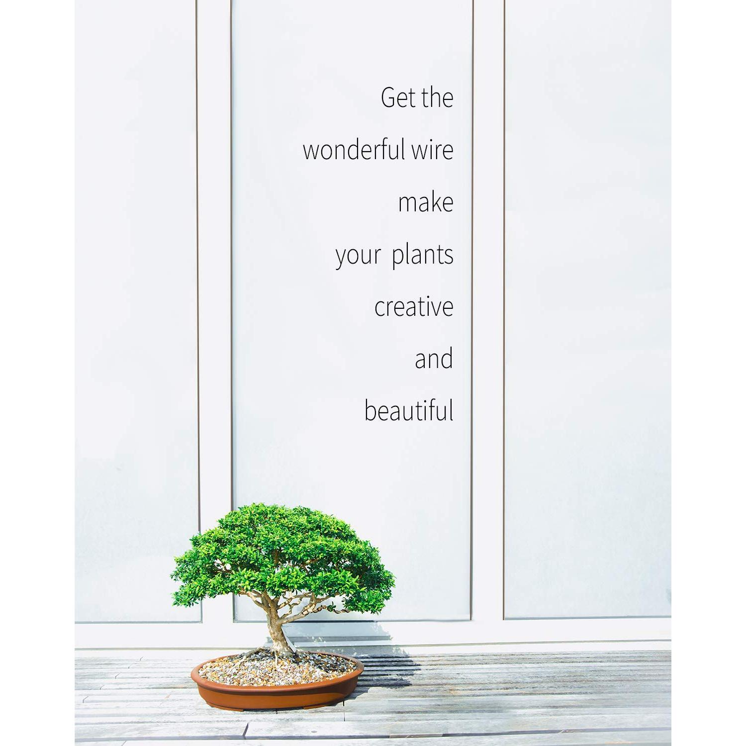 Kit Alambre para Bonsai MoHern 152 Pies 6 Tamaños Aluminio