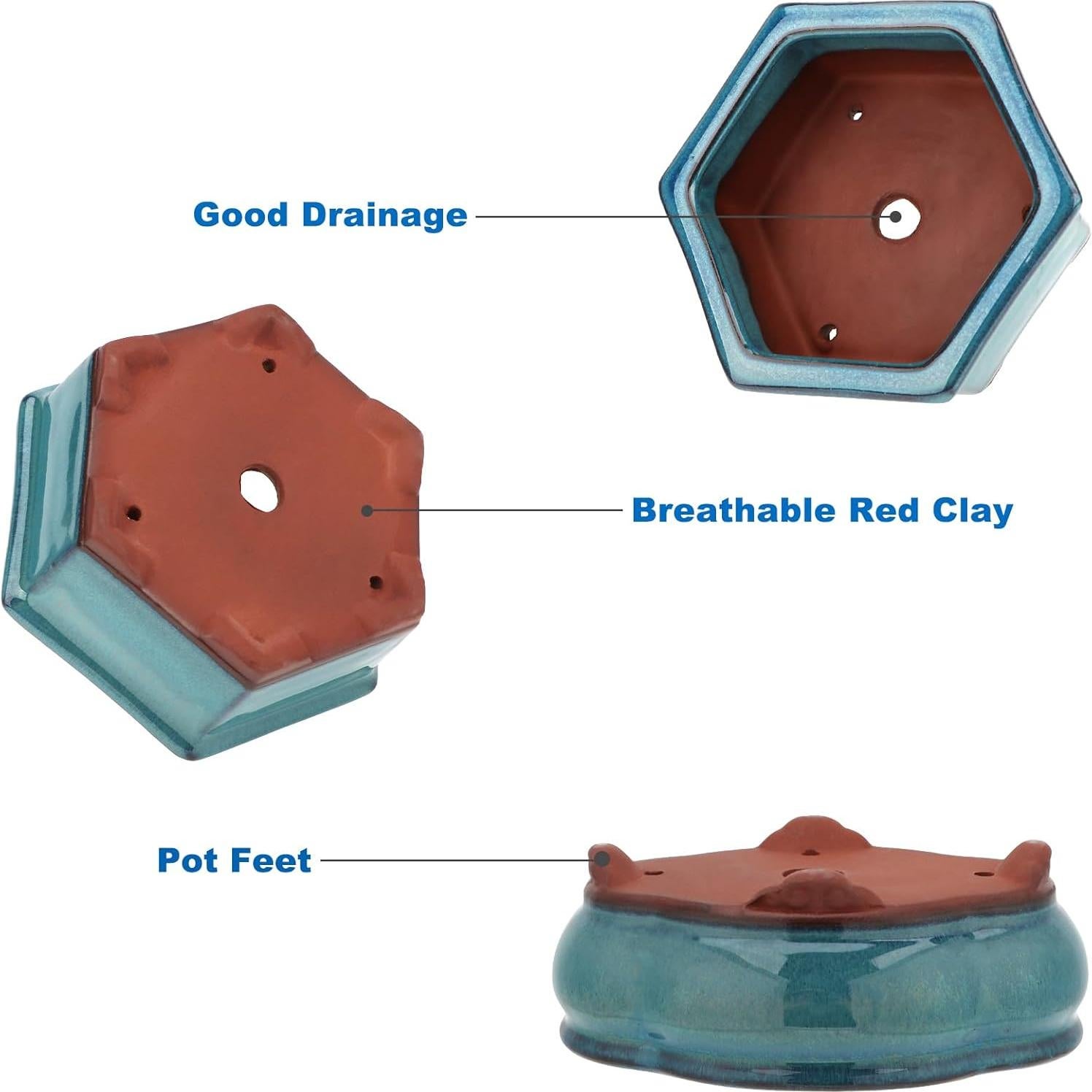 Maceta de Bonsai Happy Bonsai Juego de 2 Cerámica Azul