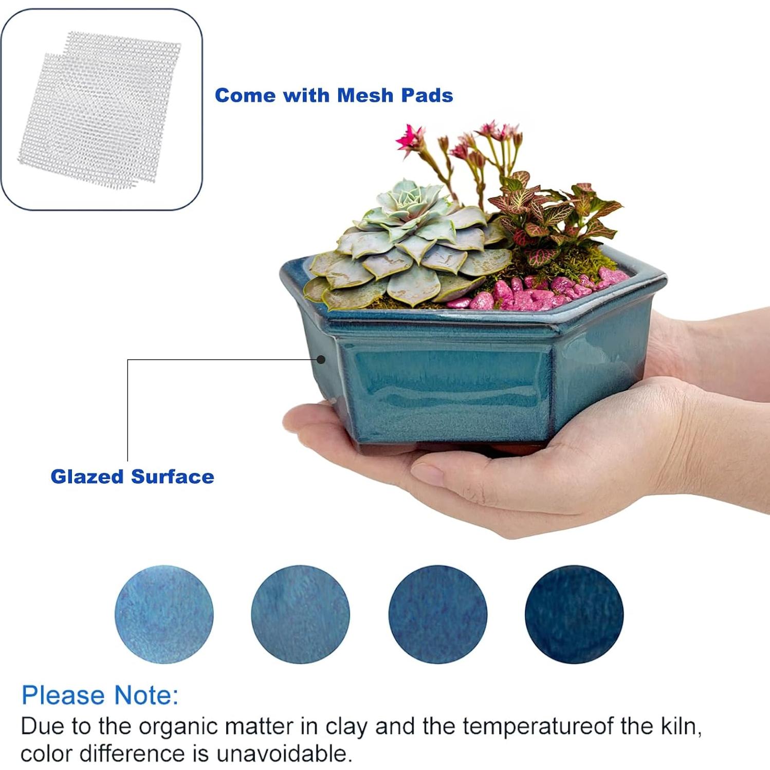 Maceta de Bonsai Happy Bonsai Juego de 2 Cerámica Azul