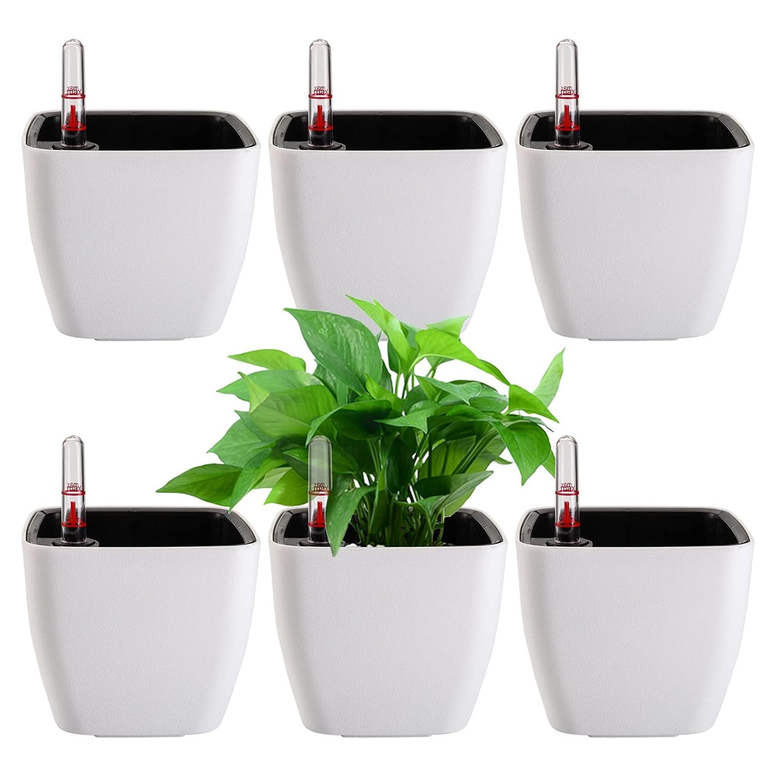 Yarlung 6 Macetas Autorriego 12.7 cm con Indicador de Agua