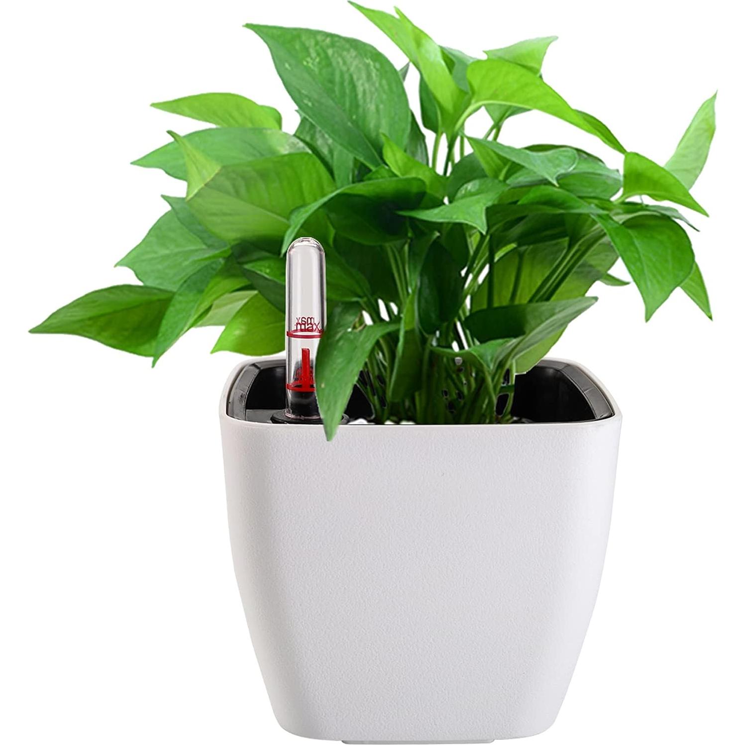 Yarlung 6 Macetas Autorriego 12.7 cm con Indicador de Agua