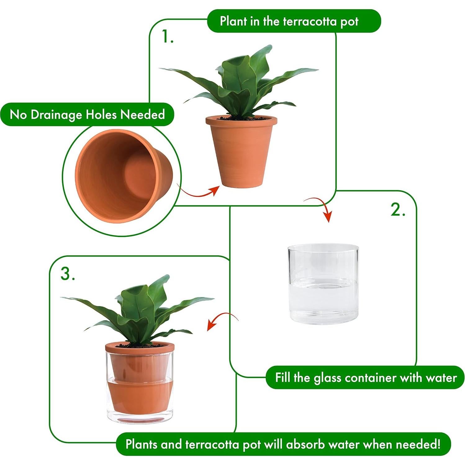 Maceta Autorriego D'vine Dev 10 cm Terracota y Vidrio