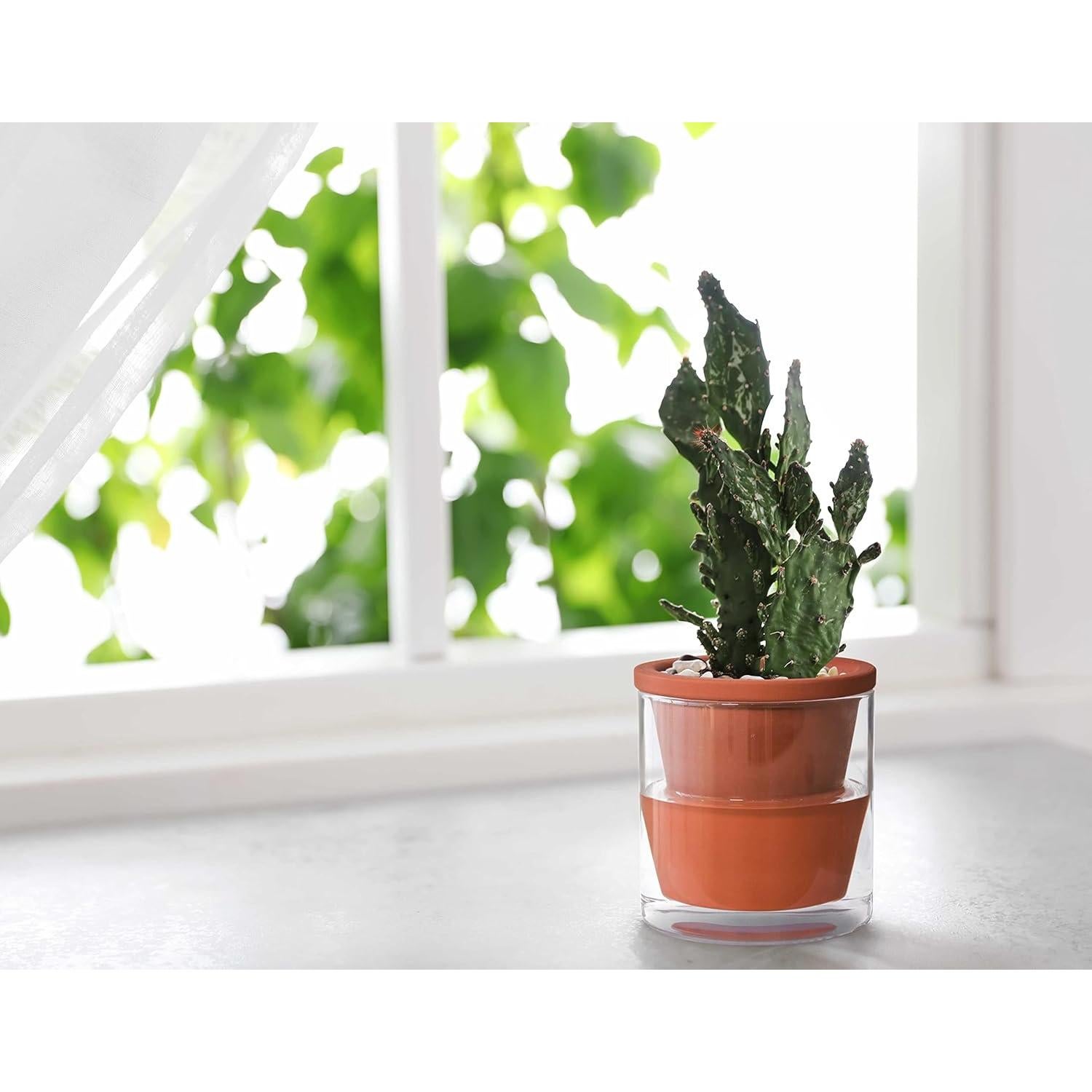 Maceta Autorriego D'vine Dev 10 cm Terracota y Vidrio