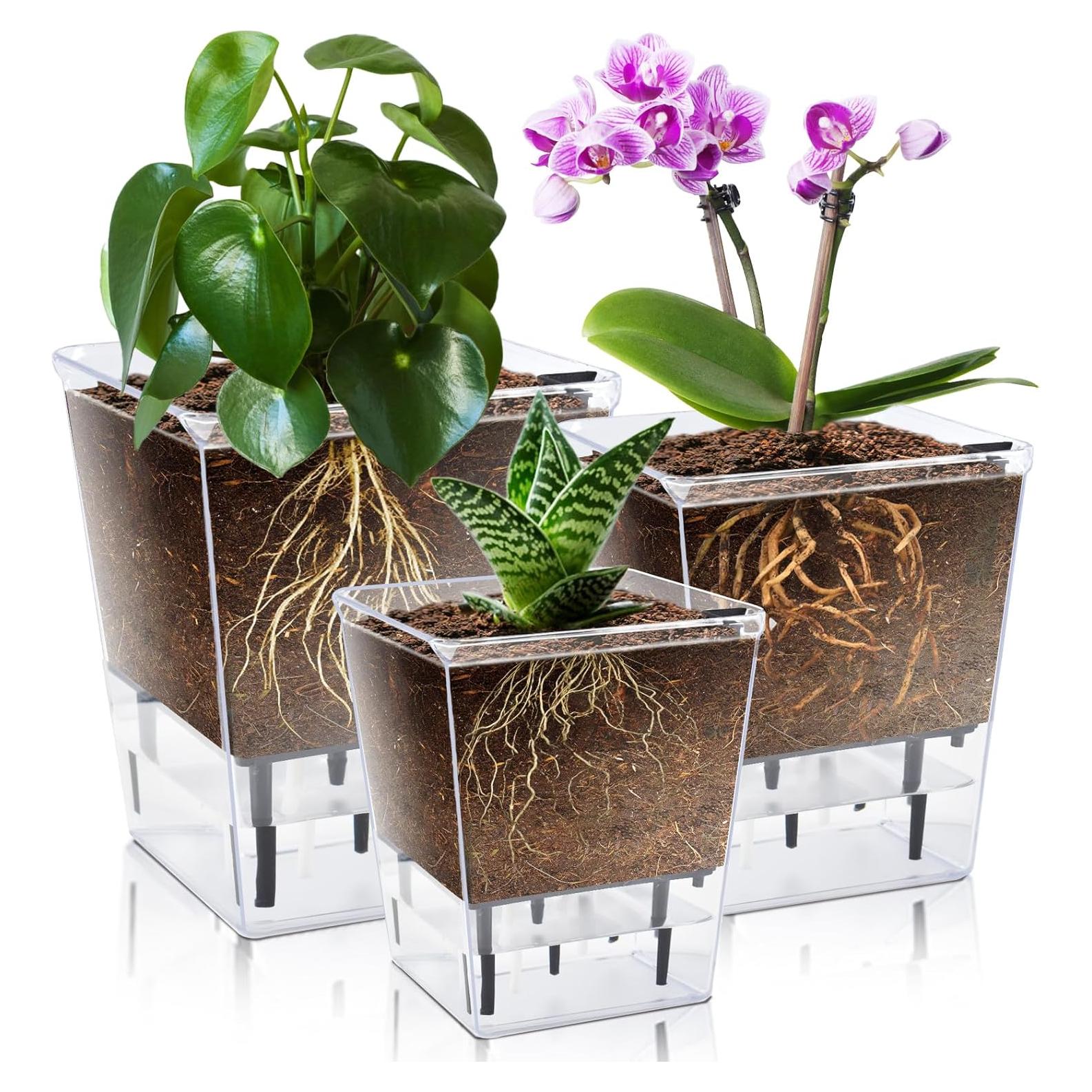 Juego de Macetas Autorriego IWNTWY 3 Piezas 12.7/10.4/6.9 cm