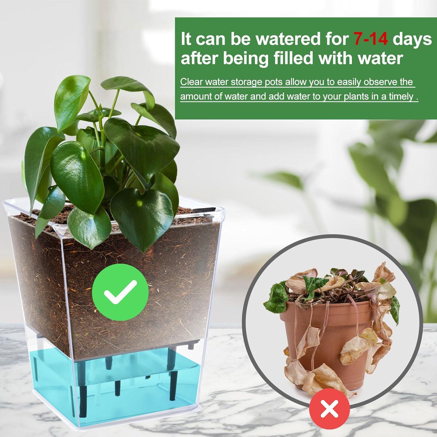 Juego de Macetas Autorriego IWNTWY 3 Piezas 12.7/10.4/6.9 cm