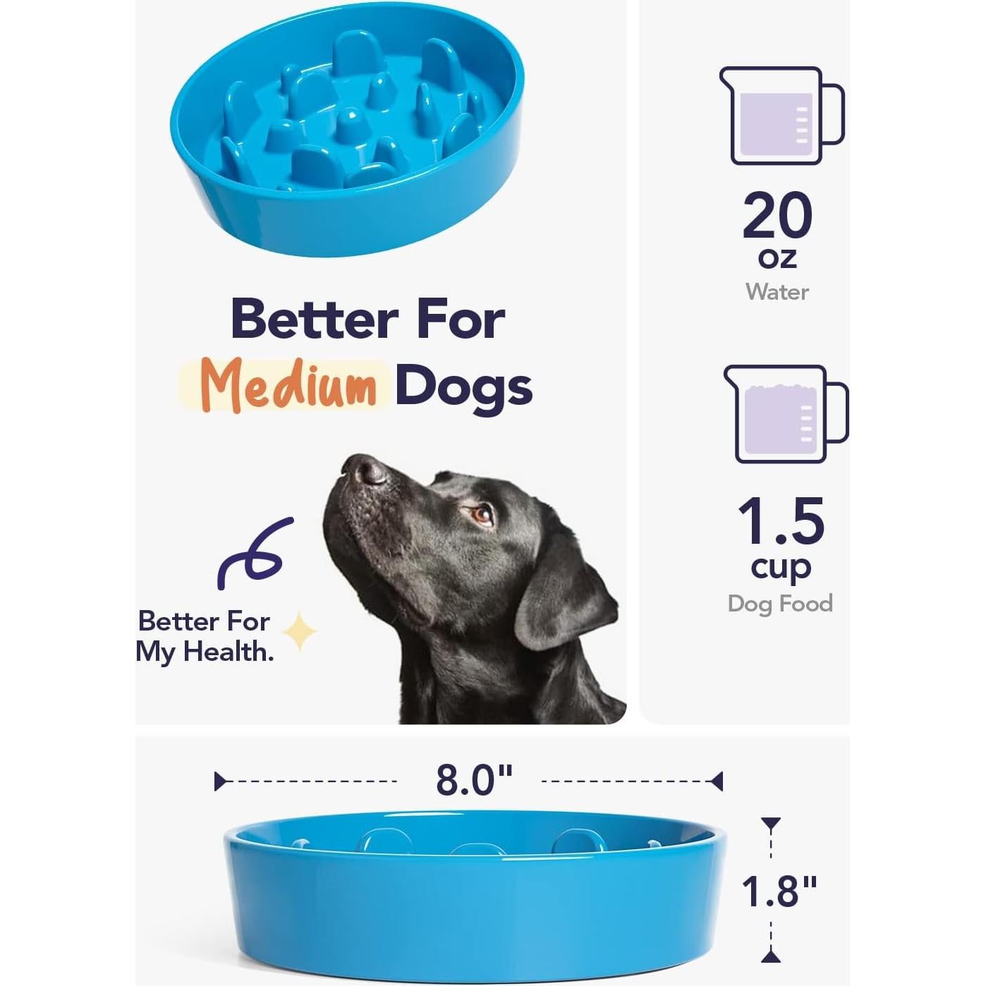 Cuenco Cerámico Antideslizante LE TAUCI 1.5 Tazas Azul