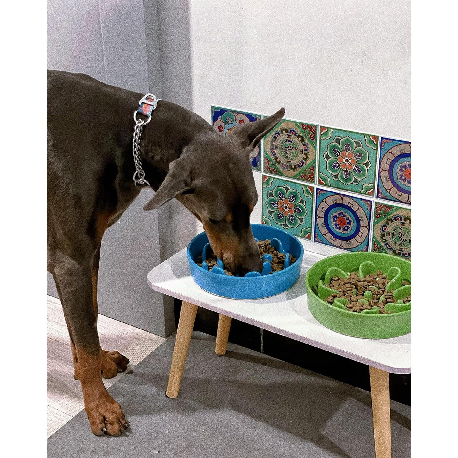 Cuenco Cerámico Antideslizante LE TAUCI 1.5 Tazas Azul