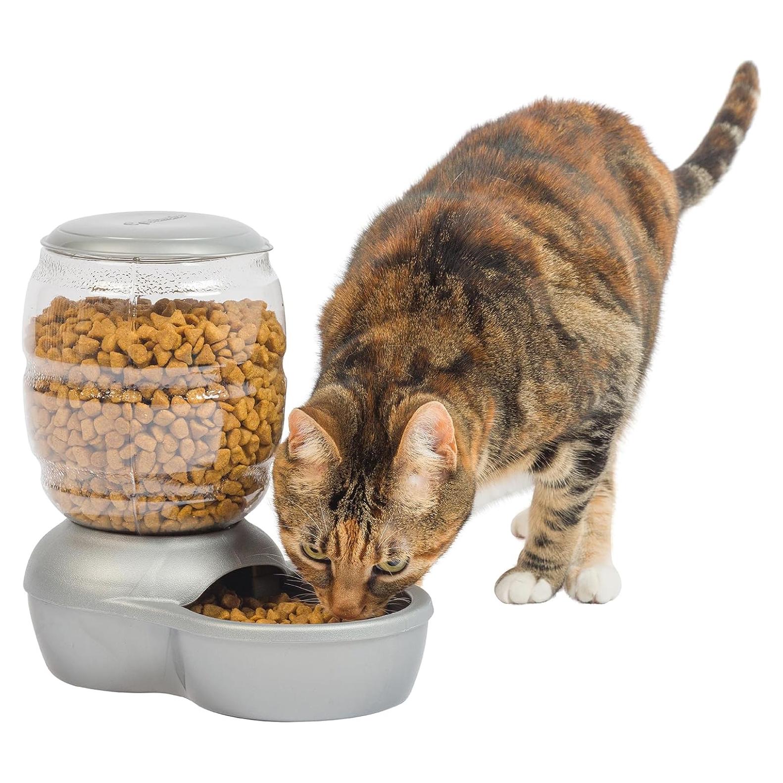 Alimentador Automático Petmate Replendish 2,27 kg Gris