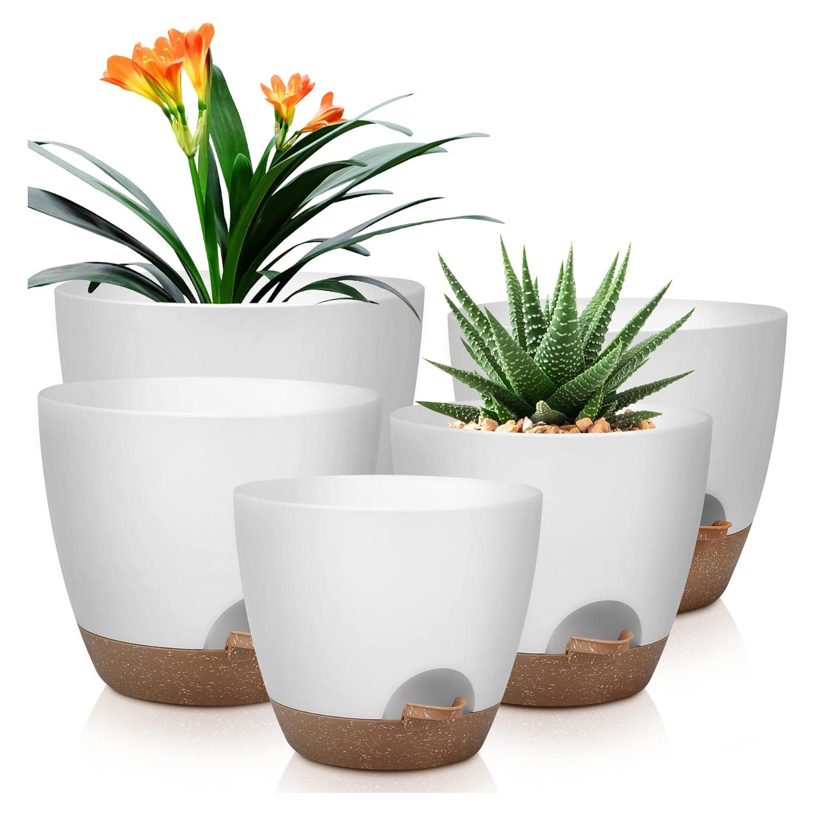 Macetas Autorriego QRRICA Juego de 5 Blancas 20-25 cm