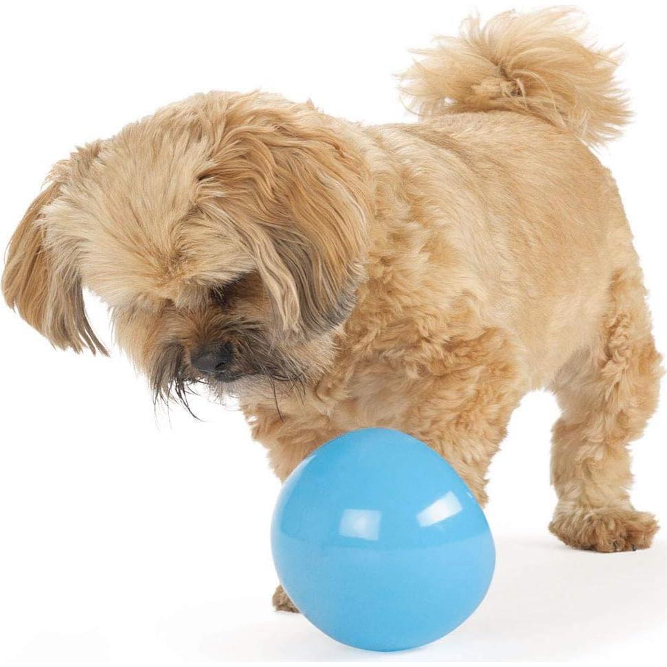 Juguete Interactivo Snoop Outward Hound Grande Azul