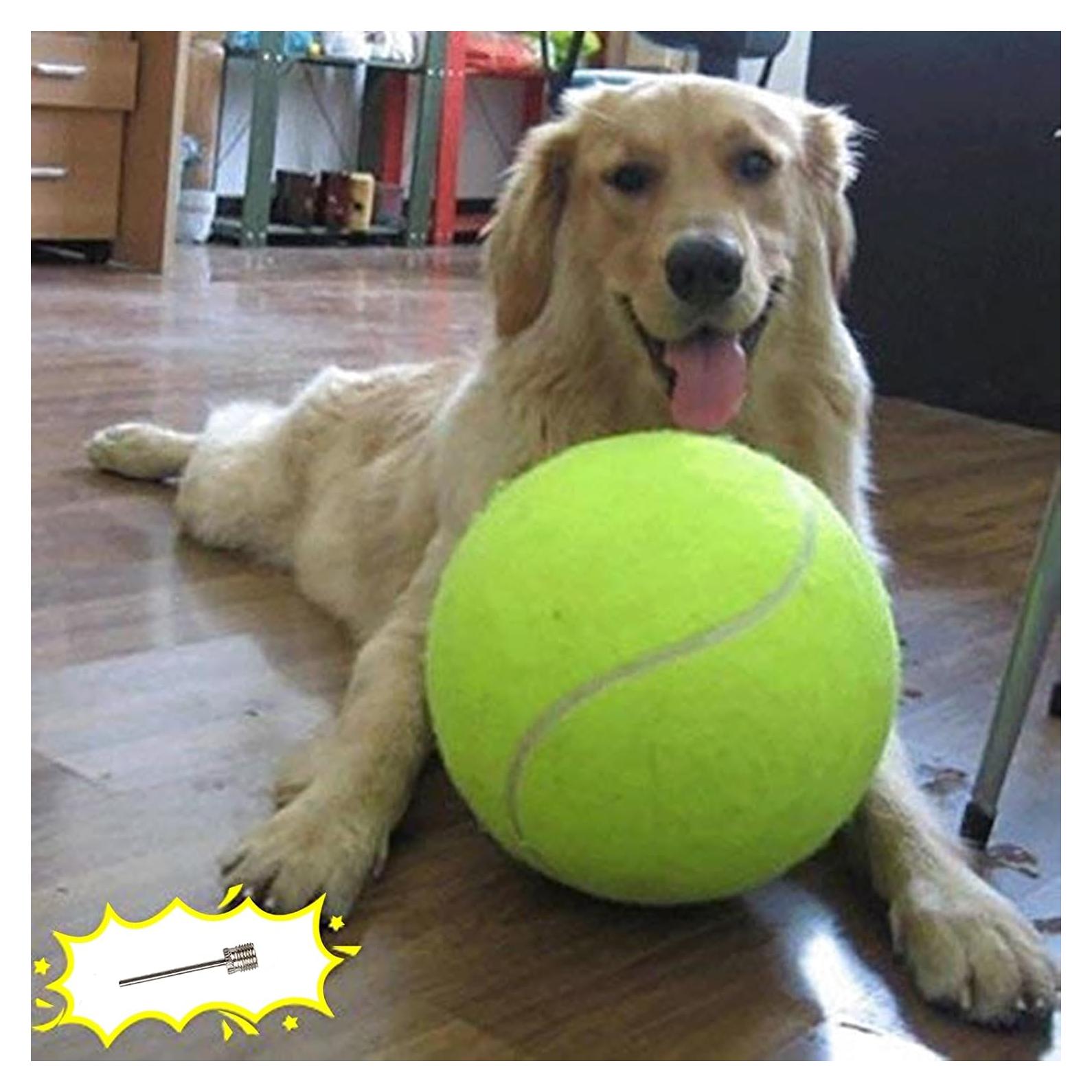 Pelota de Tenis Gigante Banfeng para Perros 24 cm Amarillo
