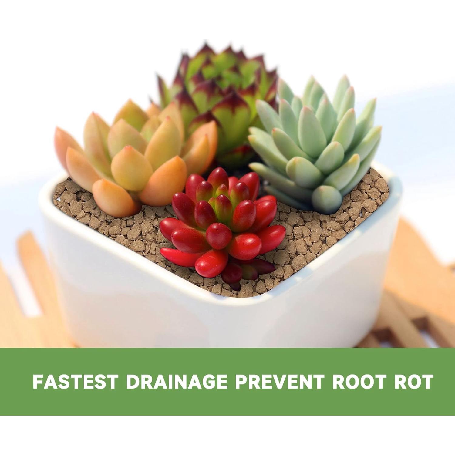 Suelo Bonsai Akadama NOHOBE 1.13 kg Grano Pequeño Drenaje Rápido