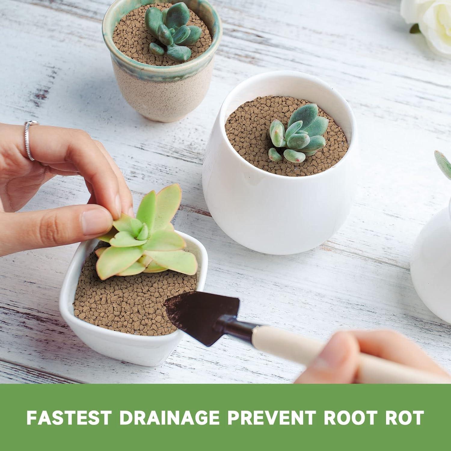 Suelo Bonsai Akadama NOHOBE 1.13 kg Grano Pequeño Drenaje Rápido