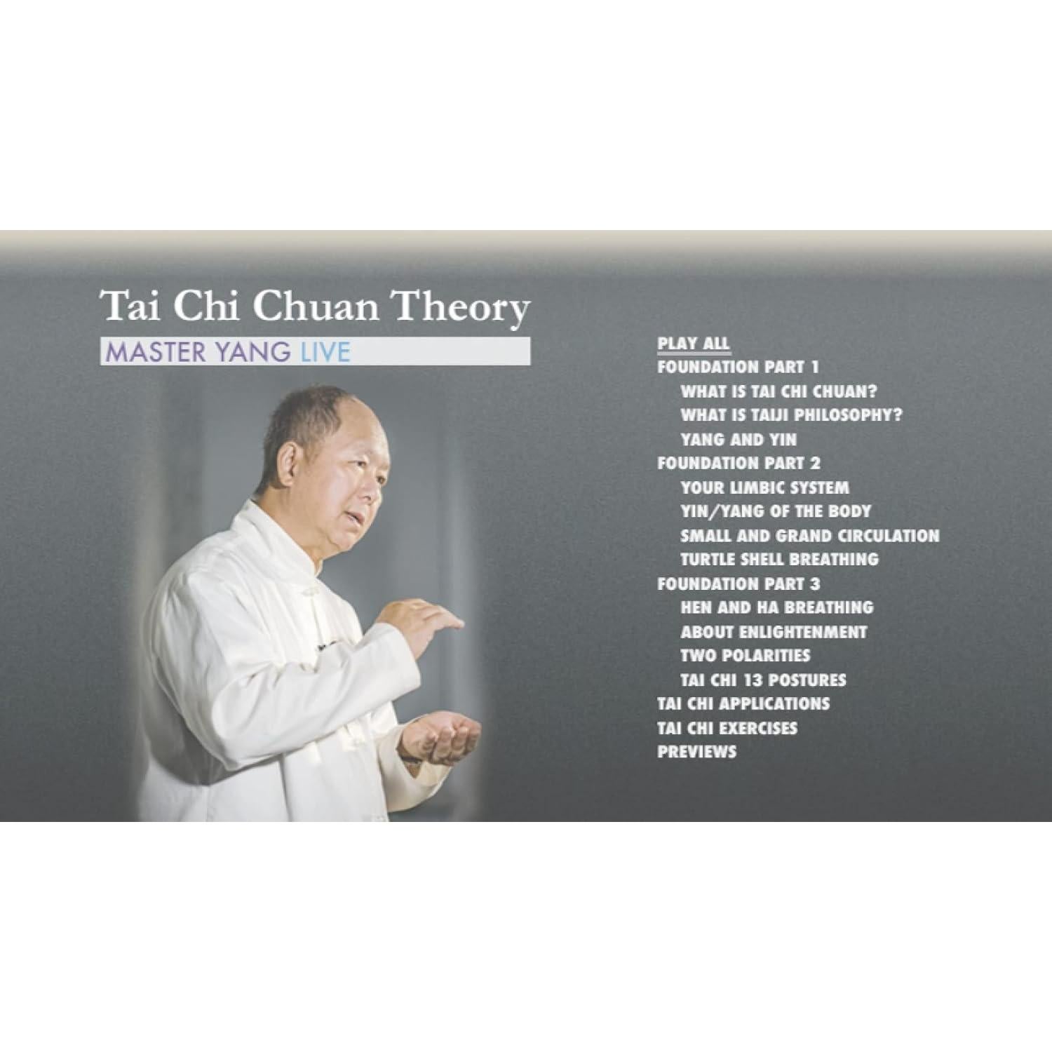 DVD Teoría de Tai Chi Yang Dr. Yang 4 horas + Streaming