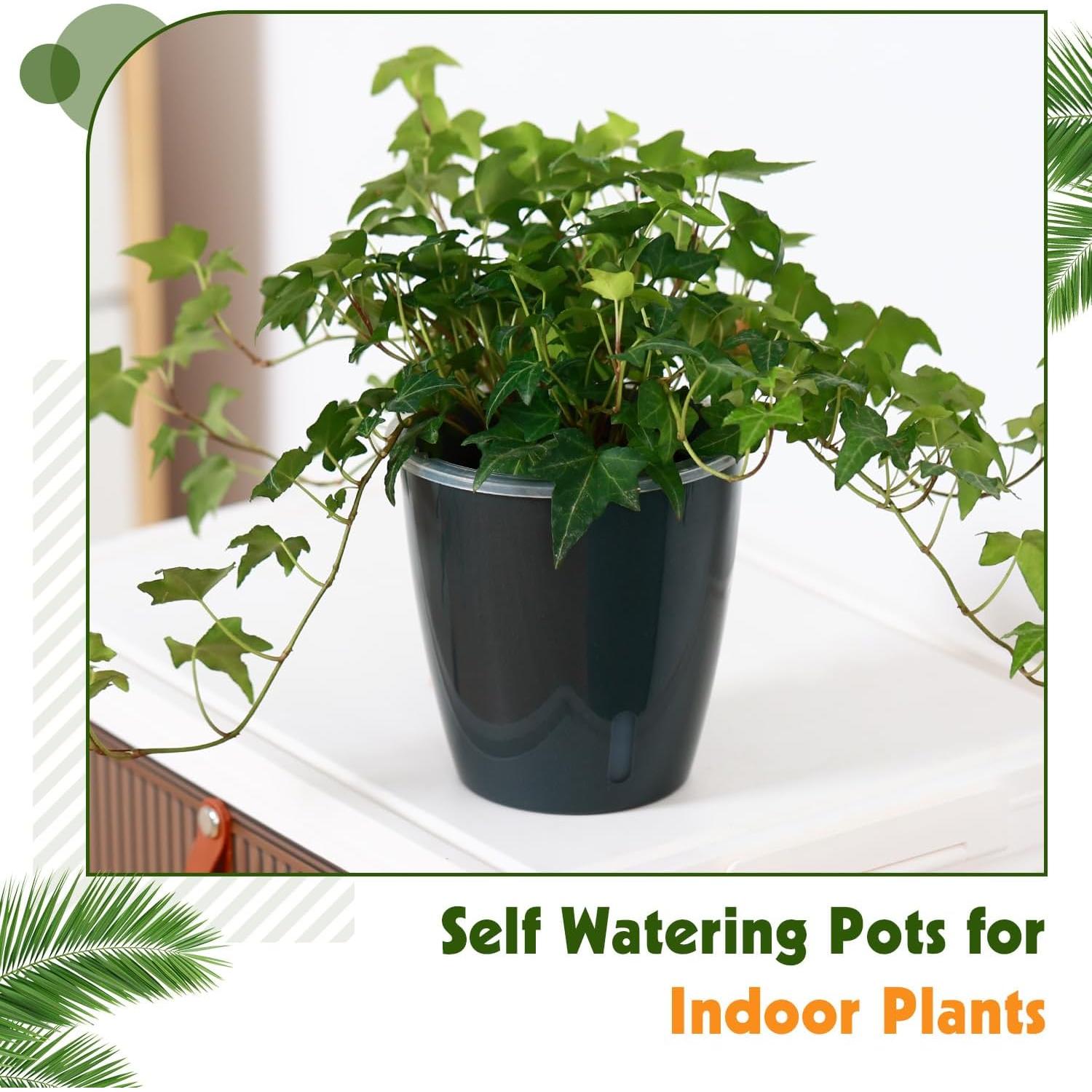 Macetas Autorriego KvyusFlourish 12.7cm Paquete de 6 Negro