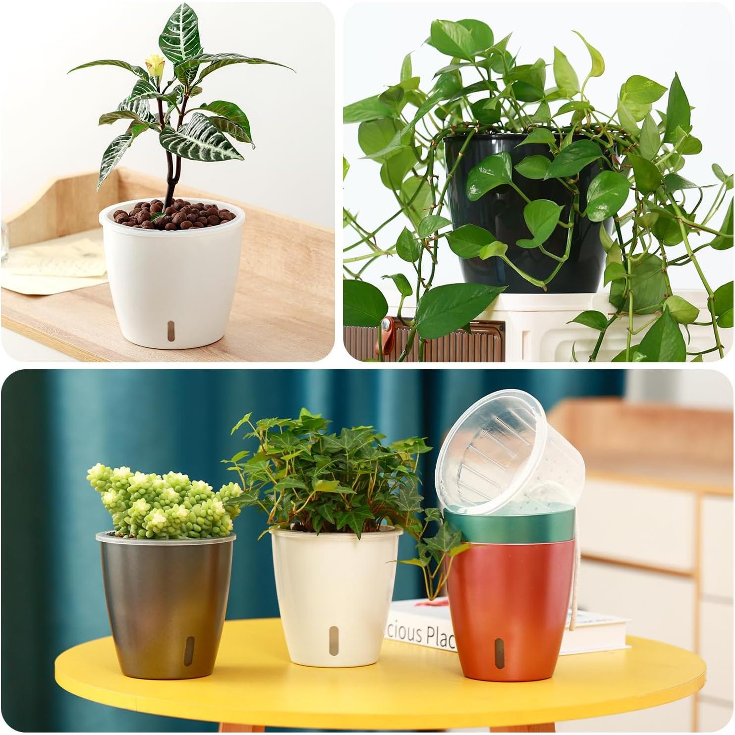 Macetas Autorriego KvyusFlourish 12.7cm Paquete de 6 Negro