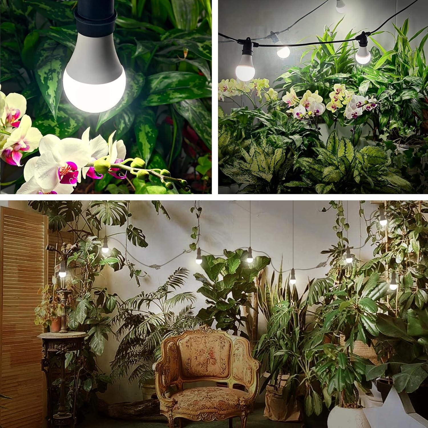 Luz de Crecimiento Colgante Briignite 3 Bombillas 33W 8000 Lúmenes