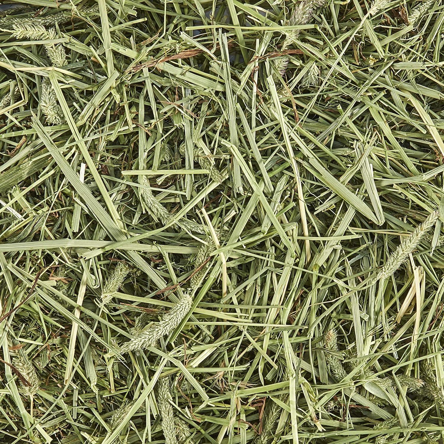 Heno Timothy 100% Natural Kaytee 0.91 kg para Cobayas y Conejos