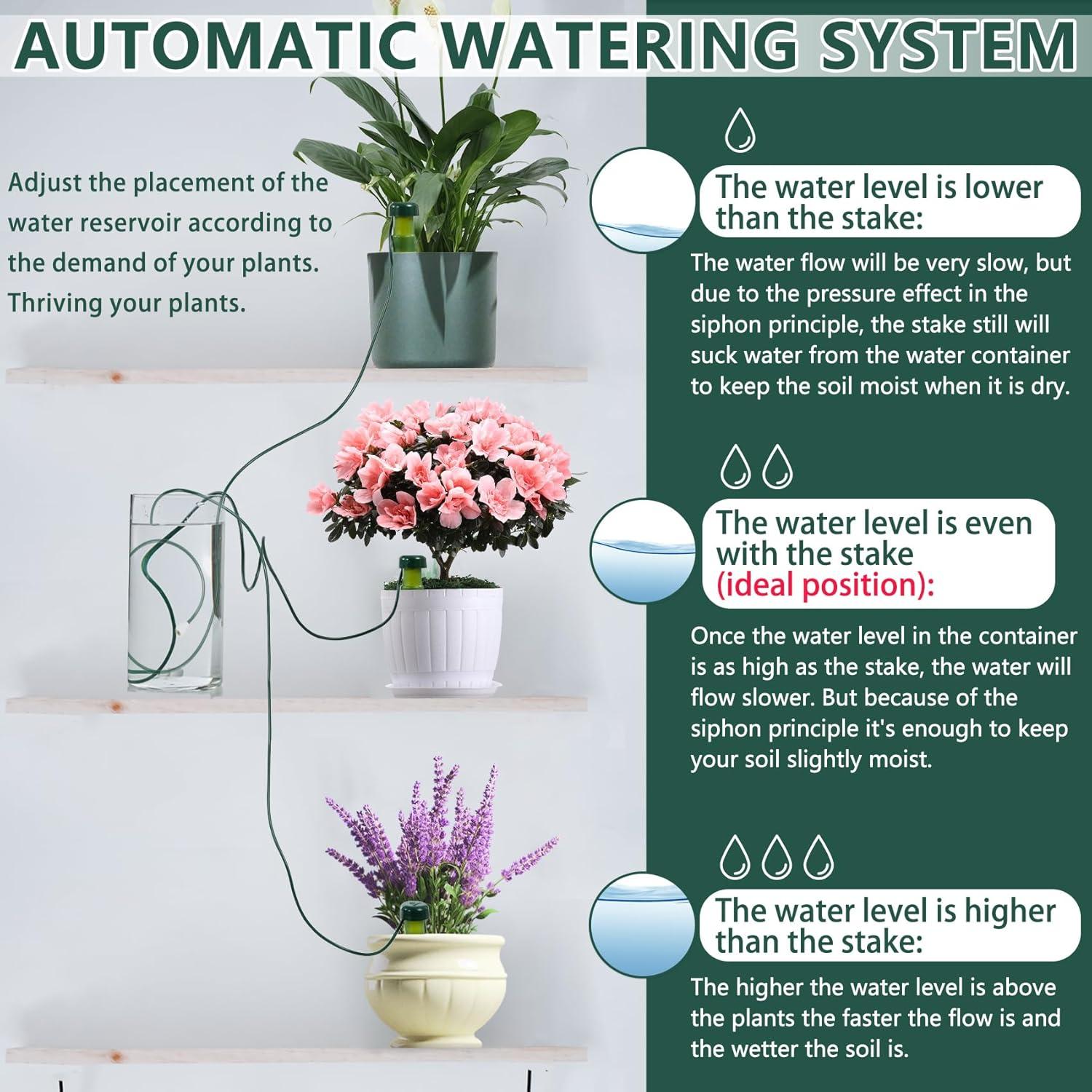 Estacas de Autorriego BYDOLL 5 Paquete Verde para Plantas