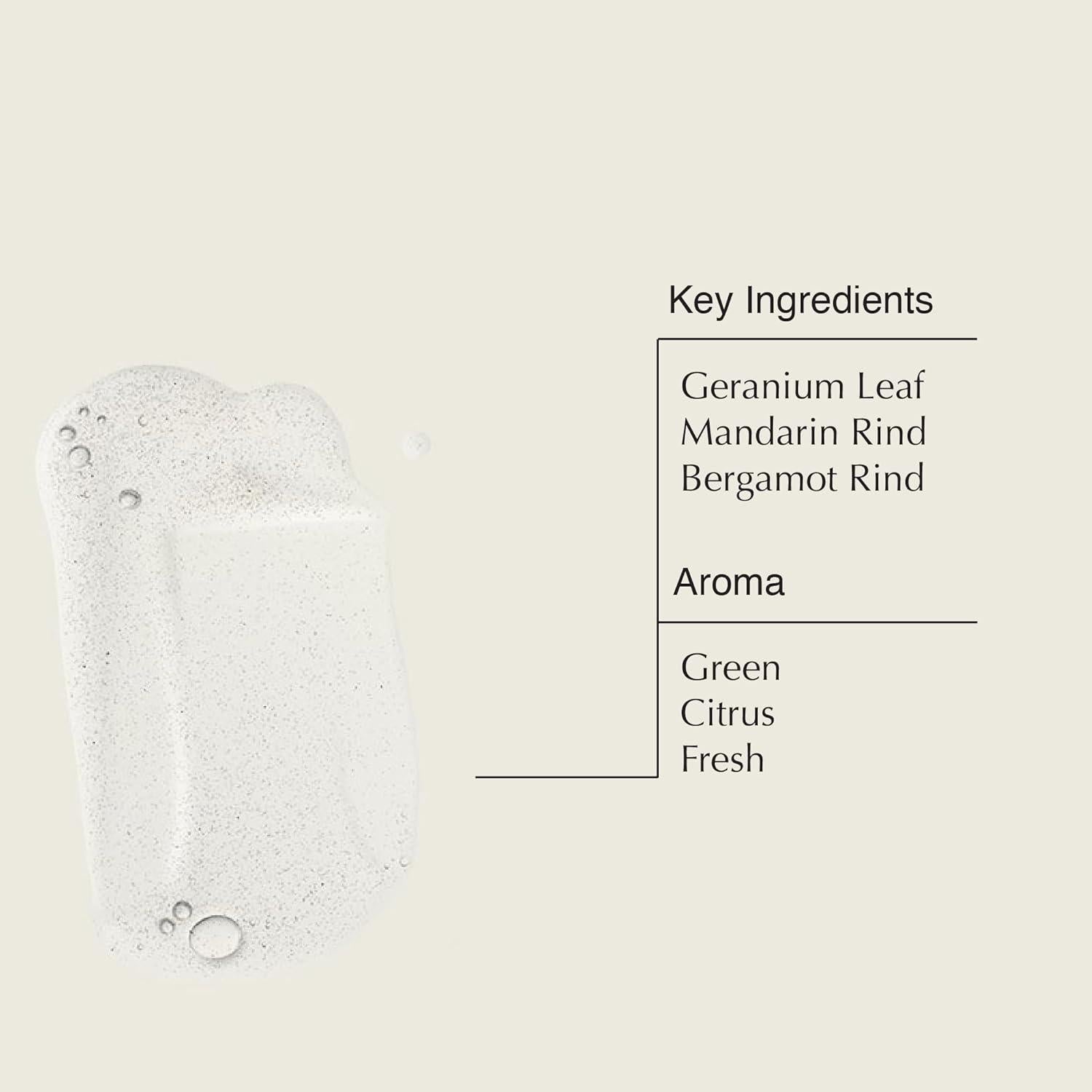 Aesop Jabón de Manos y Gel de Cuerpo 478 g Hoja de Geranio