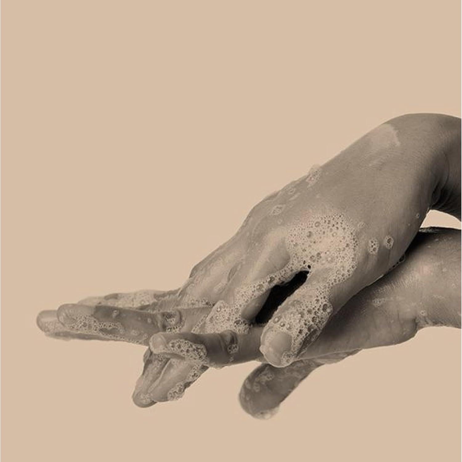 Aesop Jabón de Manos y Gel de Cuerpo 478 g Hoja de Geranio