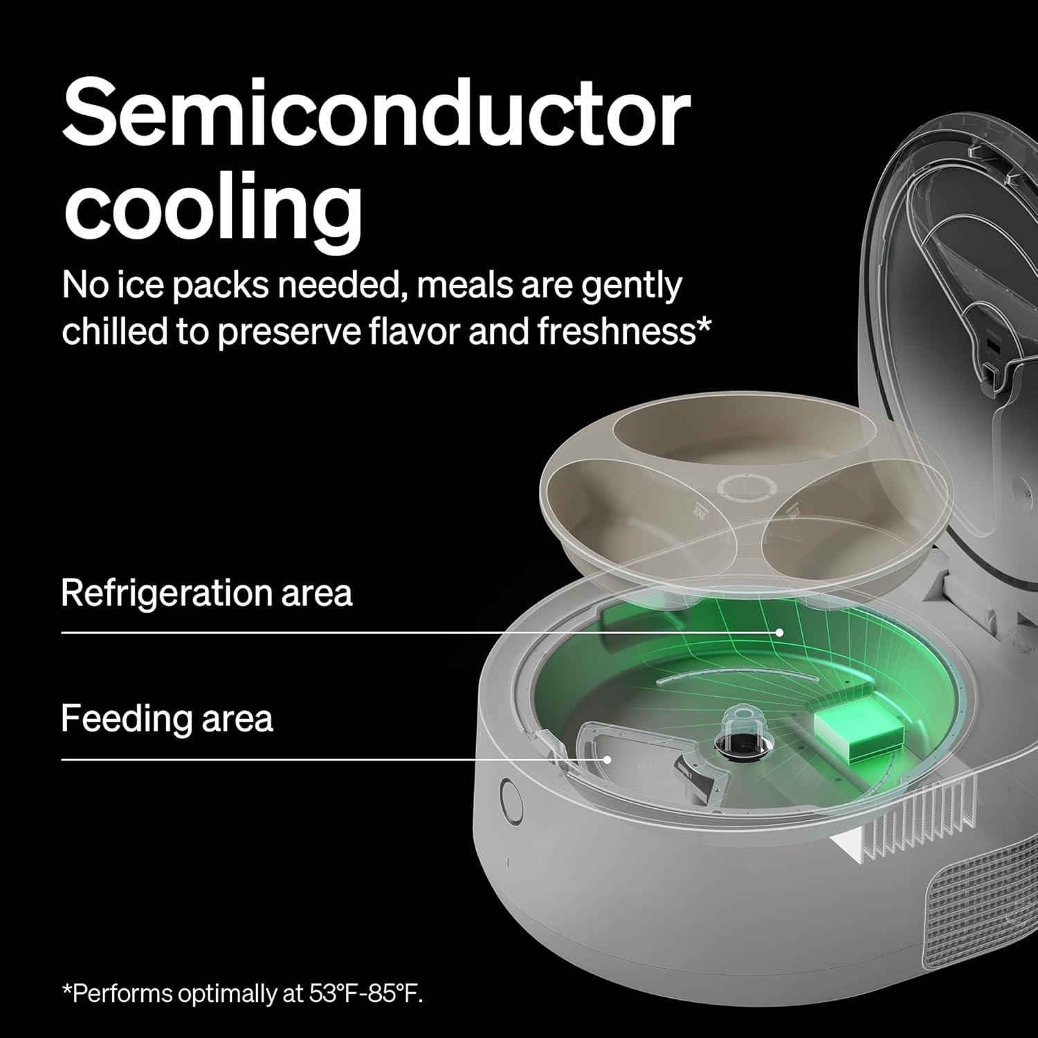 Comedero Automático PETLIBRO Polar para Gatos 3 Comidas