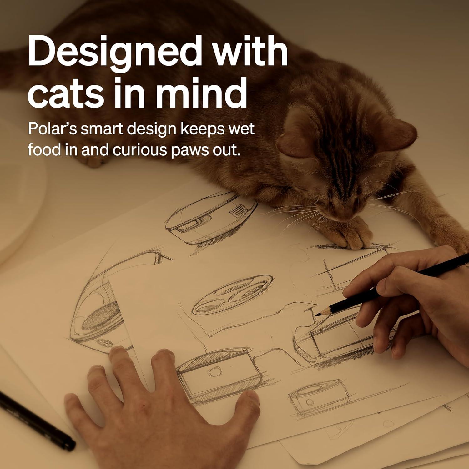 Comedero Automático PETLIBRO Polar para Gatos 3 Comidas