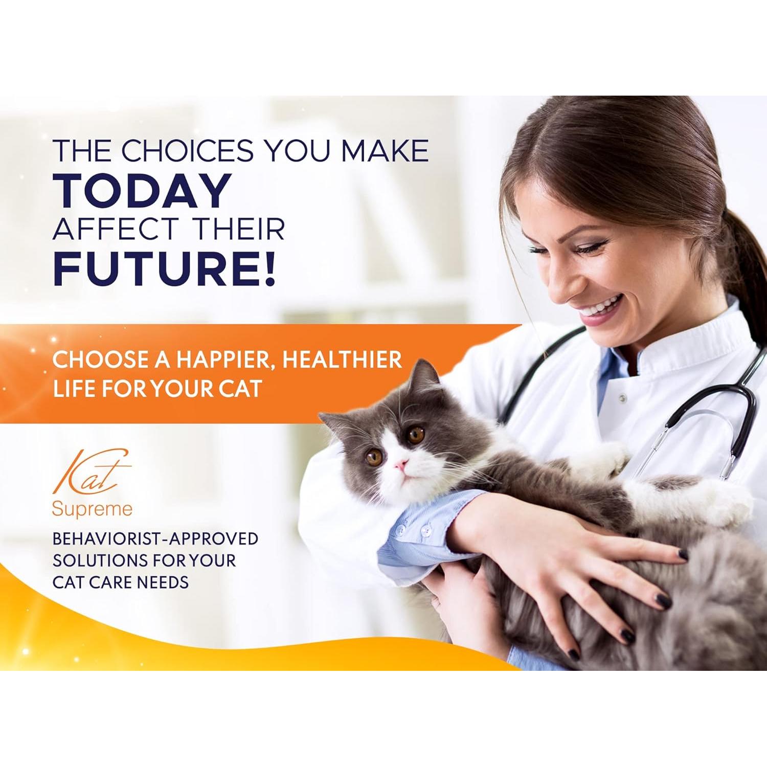 Set de Cuencos Elevados KatSupreme para Gatos - Acero Inoxidable