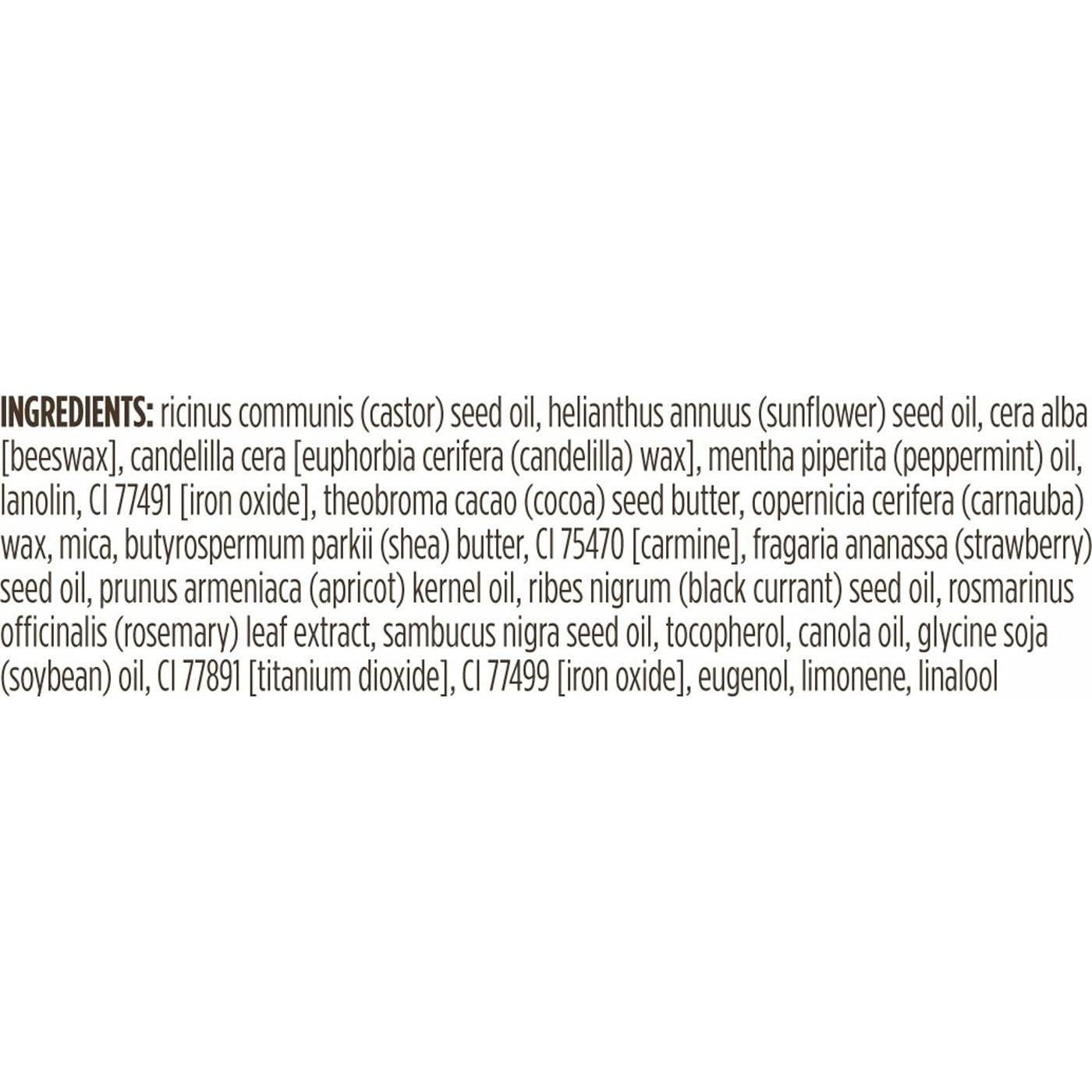 Brillo Labial Burt's Bees Ciruela 100% Natural - 2 Tubos