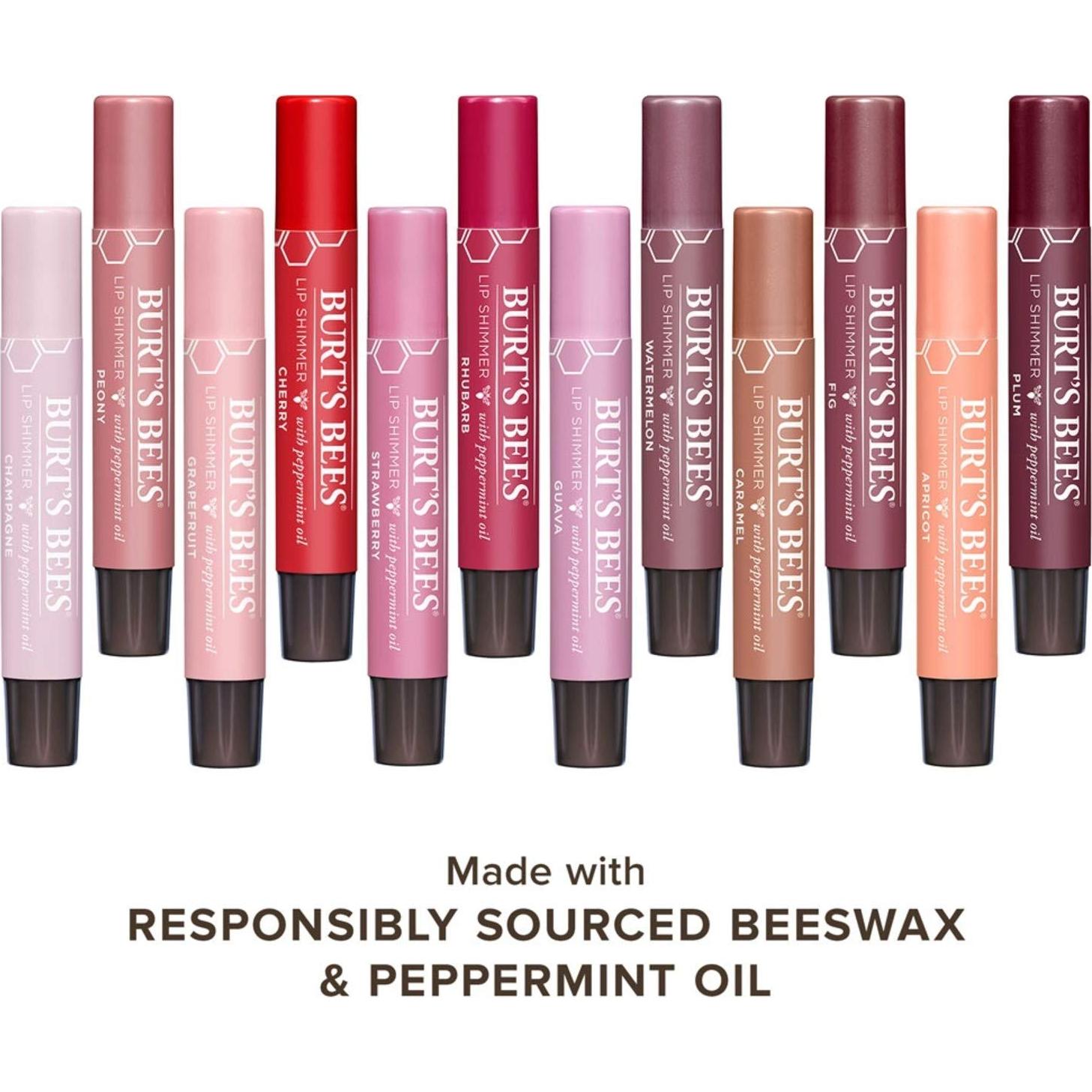 Brillo Labial Burt's Bees Ciruela 100% Natural - 2 Tubos