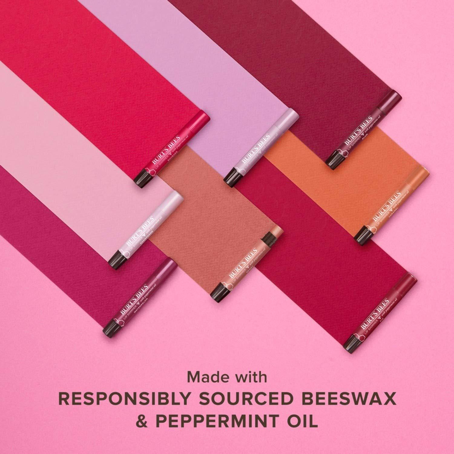 Brillo Labial Burt's Bees Ciruela 100% Natural - 2 Tubos