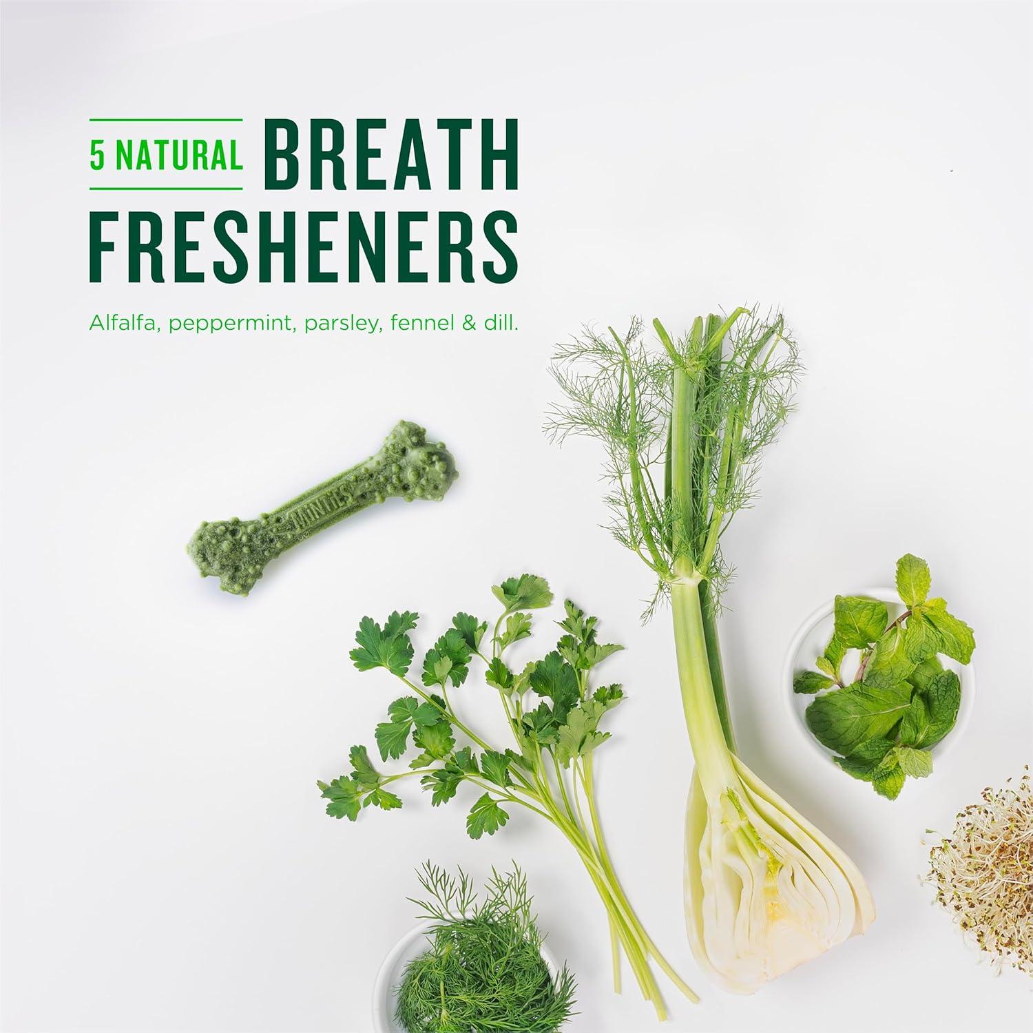 Minties Huesos Dentales para Perros Pequeños 16 Unidades