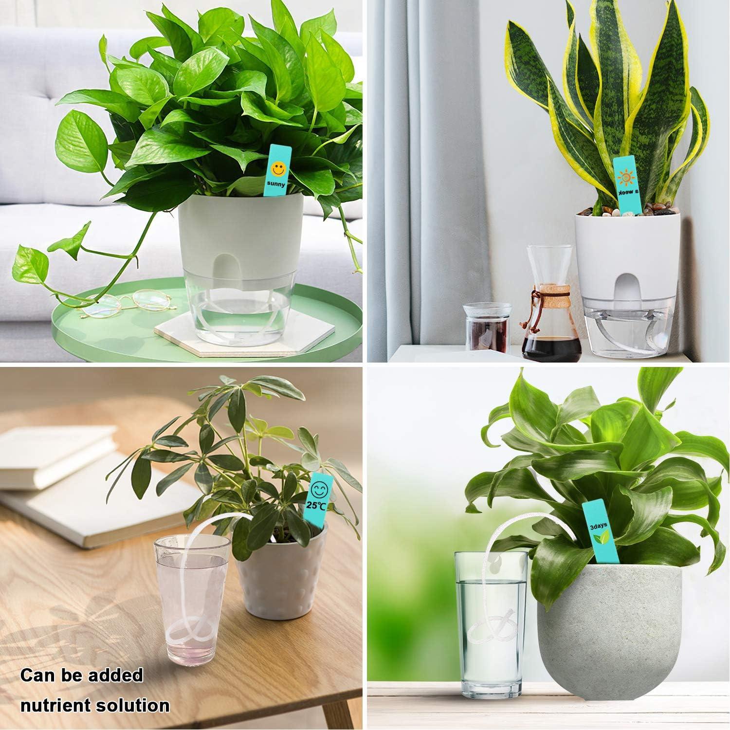 Cuerda de Mecha Autorriego AUGSHY 27,43 m para Jardinería