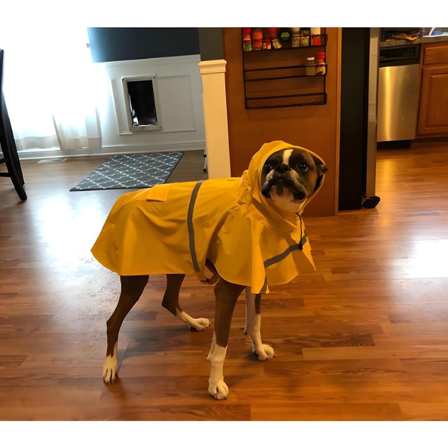 Abrigo de Lluvia NACOCO para Perros Grandes Amarillo 3XL