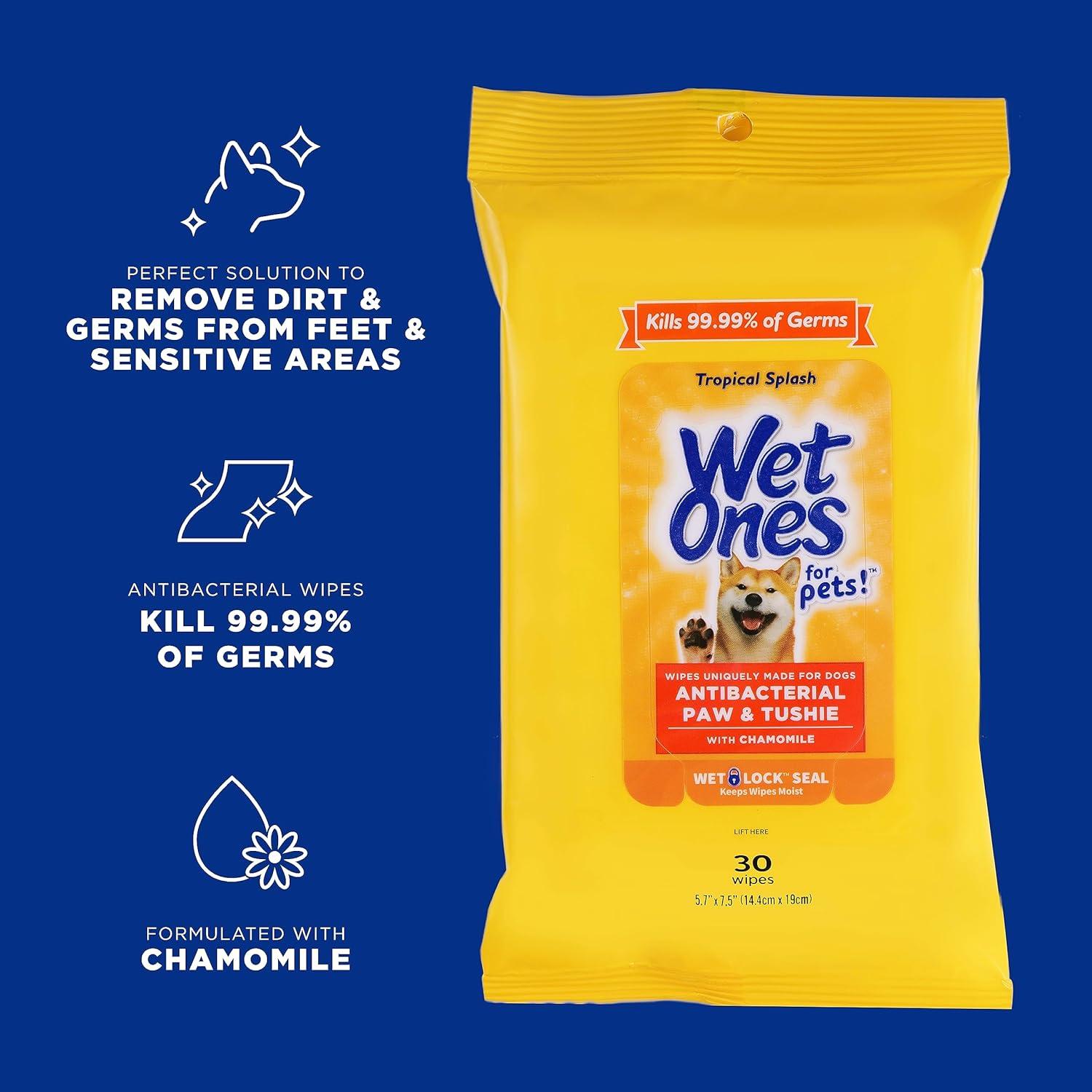 Paquete 18 Piezas Toallitas Húmedas Wet Ones Tropical Splash