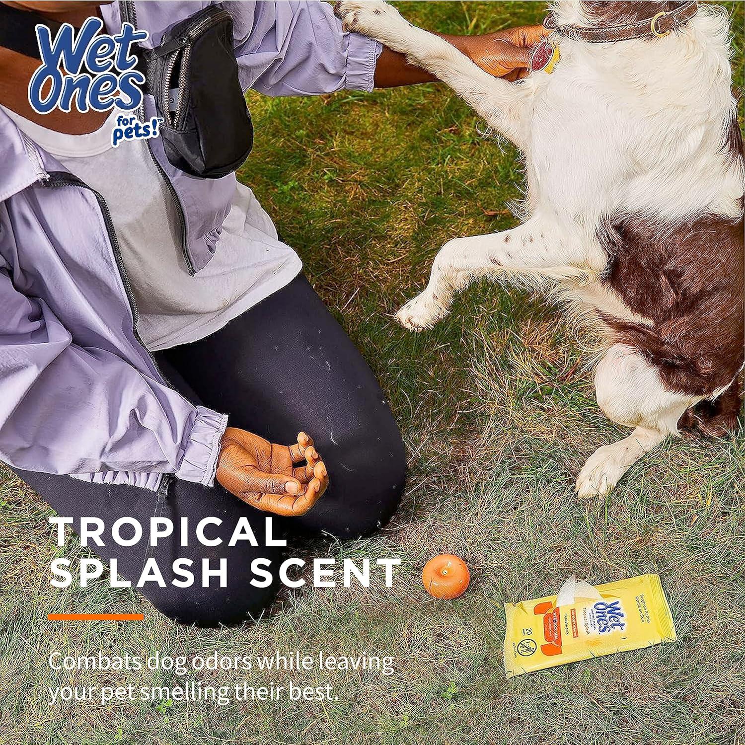 Paquete 18 Piezas Toallitas Húmedas Wet Ones Tropical Splash