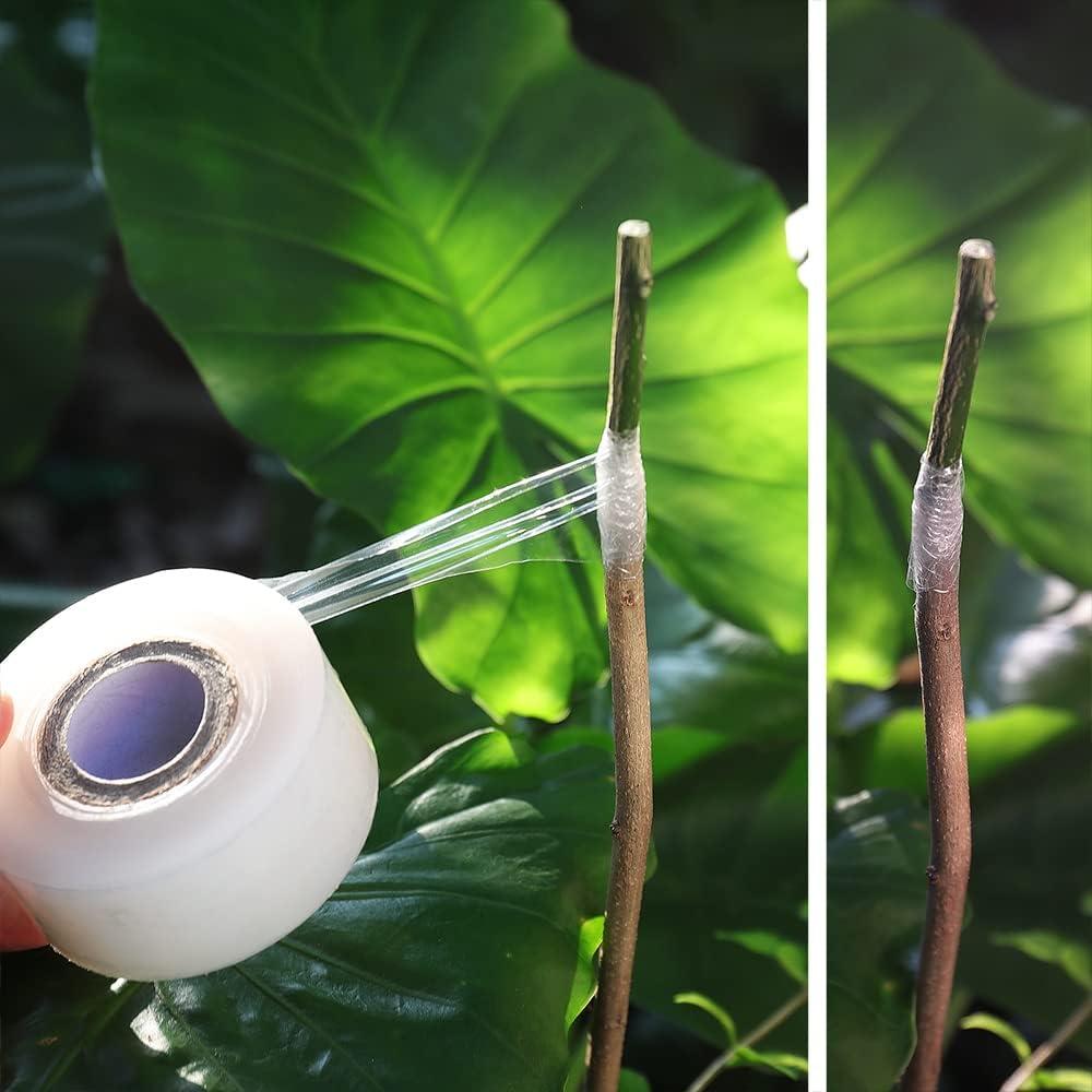 Cinta de Injerto Autoadhesiva NAYE - 6 Piezas 22.1x14 cm