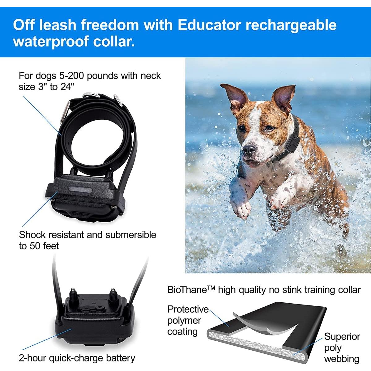 Receptor Educator RX-1000 para E-Fence en collar Biothane