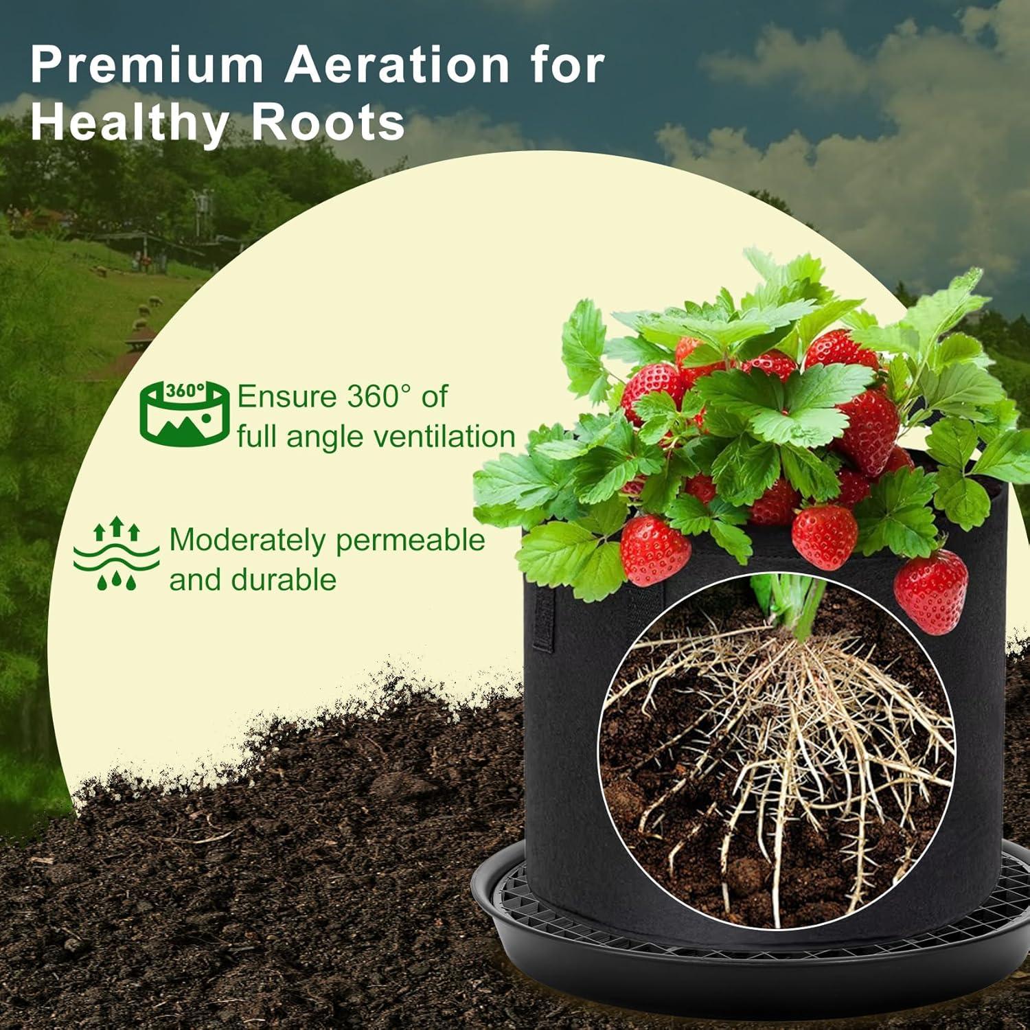 Juego de 4 Platos Auto-Riego P Polerden 35.56cm Negro