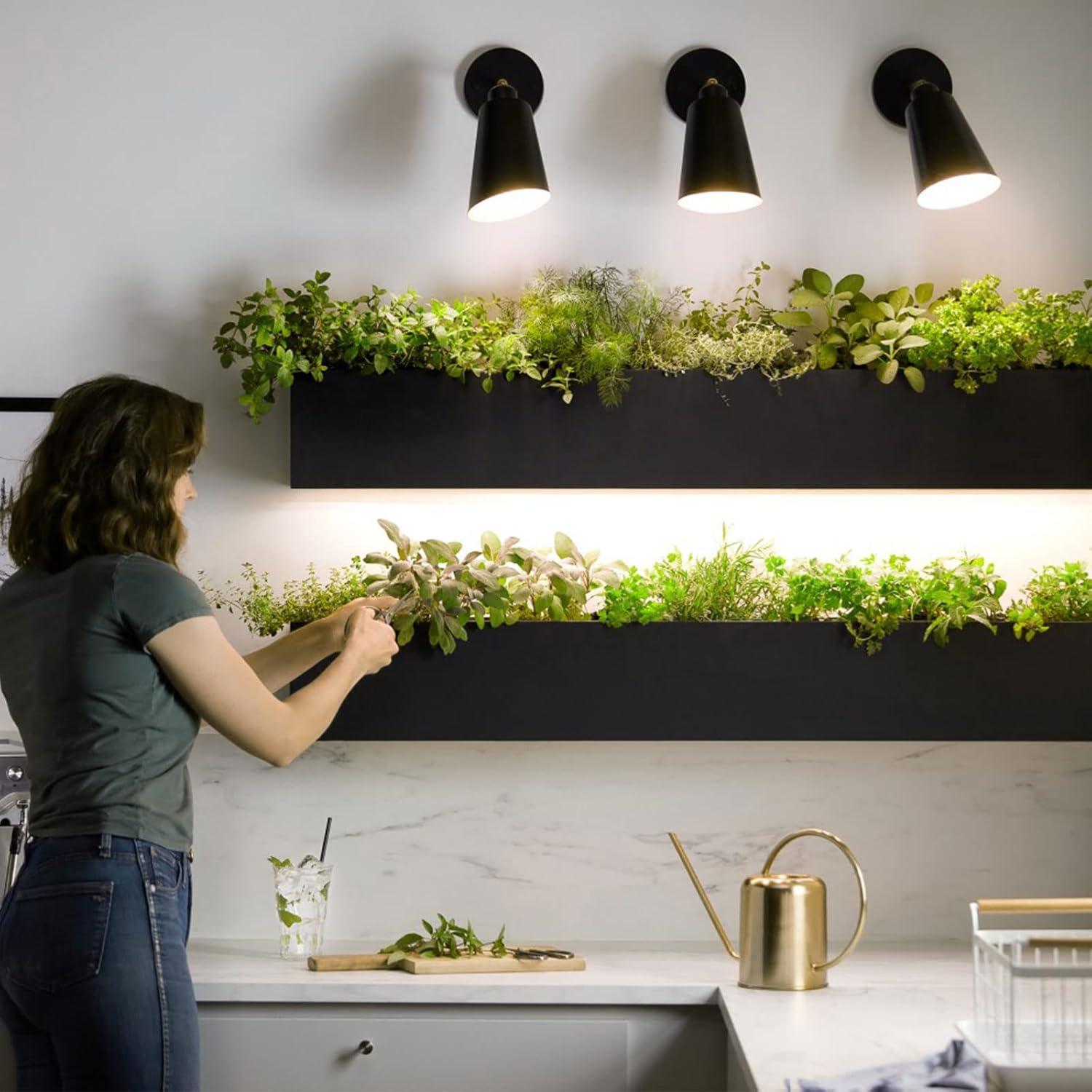 Bombilla LED de Crecimiento Briignite BR30 12W Espectro Completo