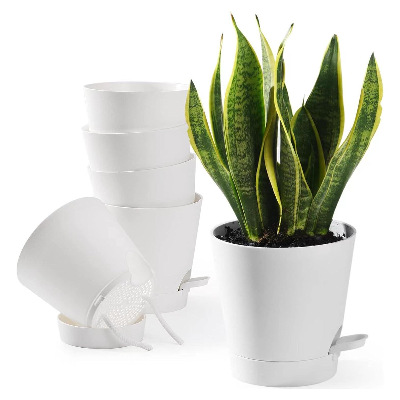 Macetas Autorriego 6 PCS Qaobo 12,7 cm Drenaje Blanco