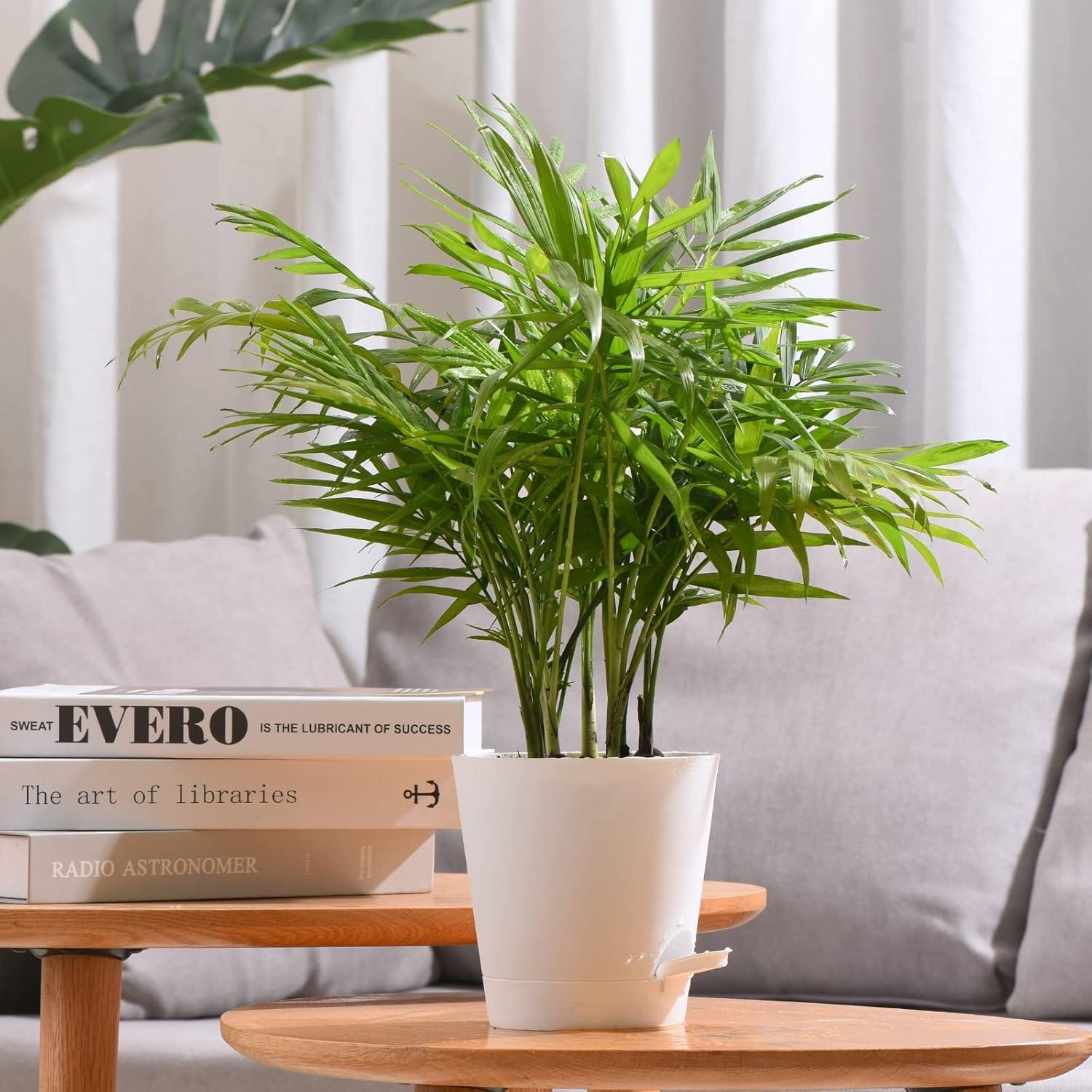 Macetas Autorriego 6 PCS Qaobo 12,7 cm Drenaje Blanco