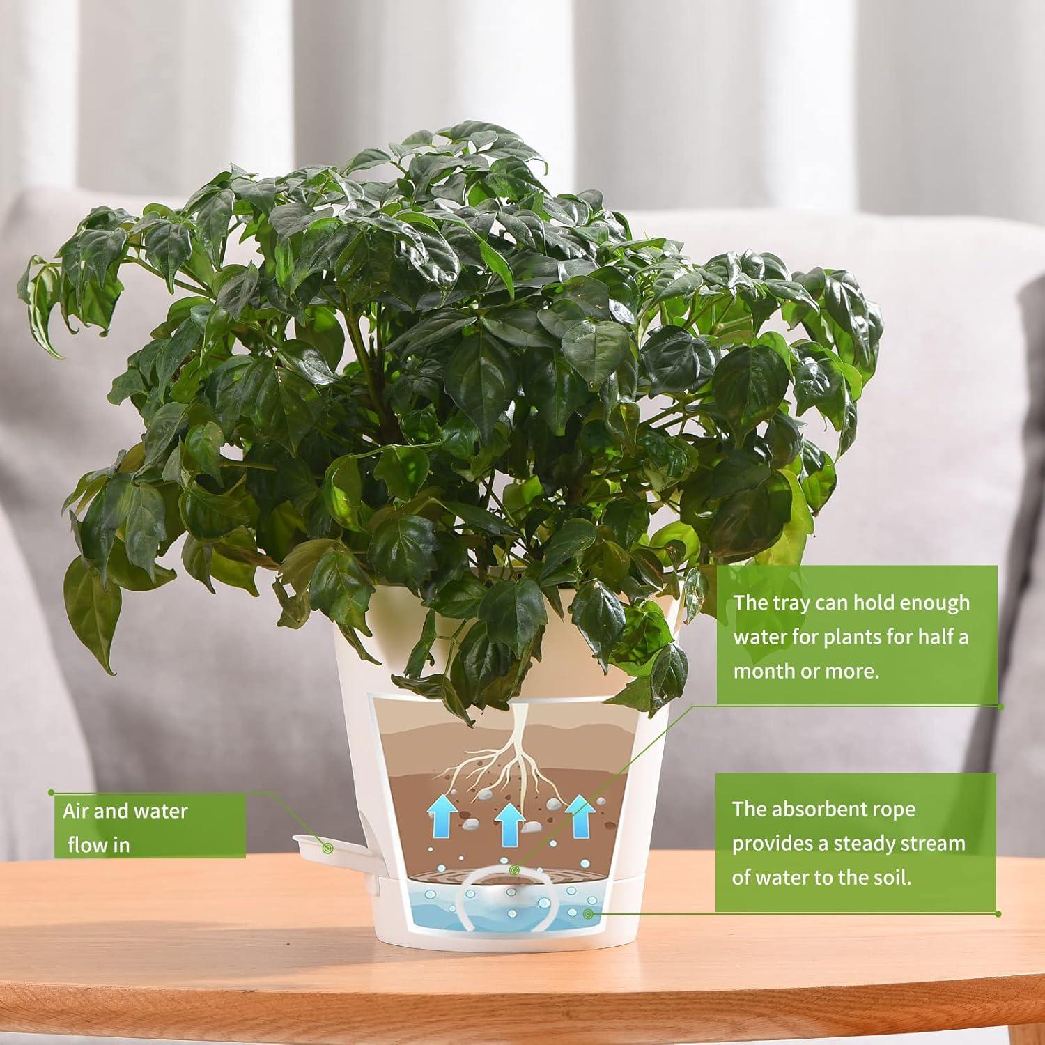 Macetas Autorriego 6 PCS Qaobo 12,7 cm Drenaje Blanco