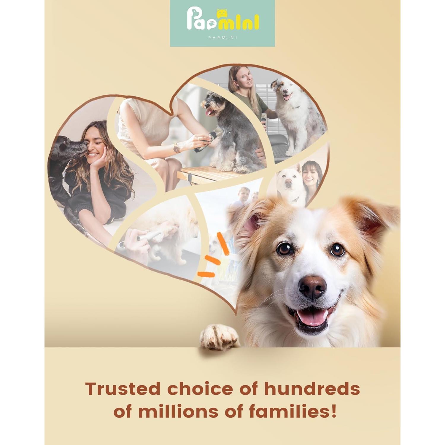 Kit de Aseo para Perros PAPMINI Inalámbrico 2000 mAh Oro