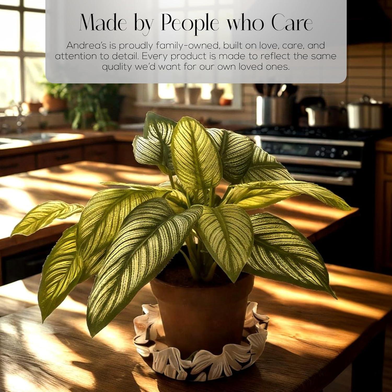 Abrebotellas de Silicona Andreas Libélula Bailarina 15.88 cm