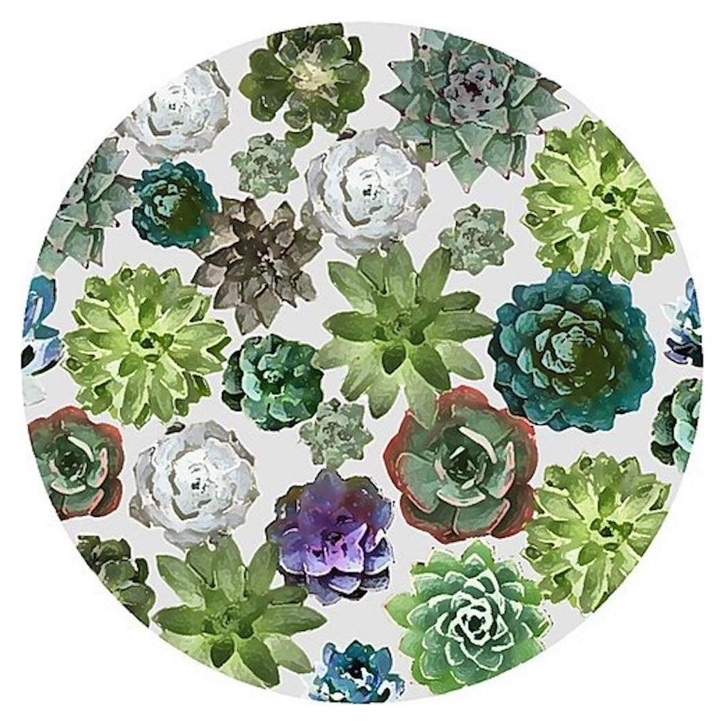 Abrebotellas de Silicona Andreas Suculentas 15.88 cm Antideslizante